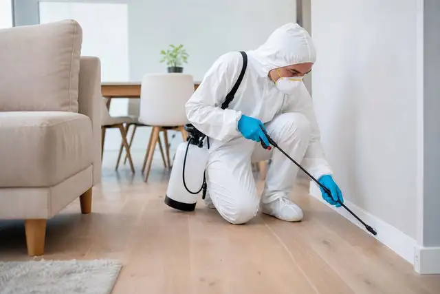 Home Pest Control Northern Cyprus