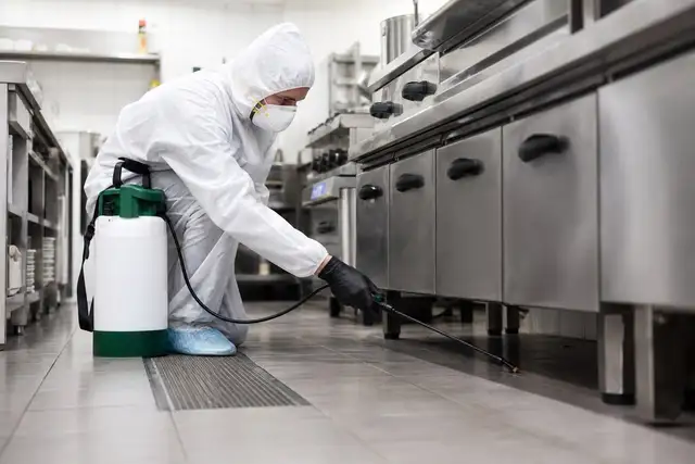 Commercial Pest Control